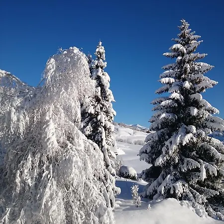 Gravas - Für Gäste Mit Hund