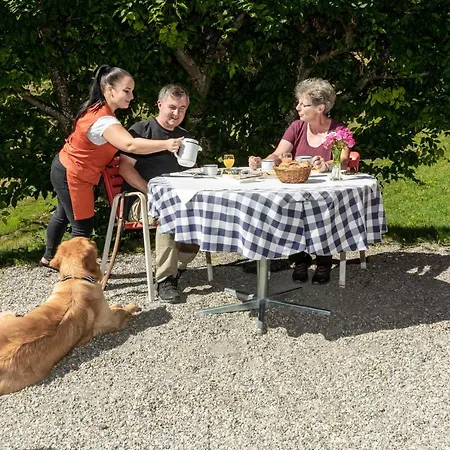 Gravas - Fuer Gaeste Mit Hund Vella