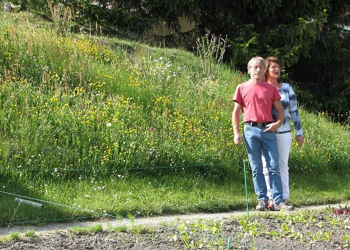Gravas - Fuer Gaeste Mit Hund Vella