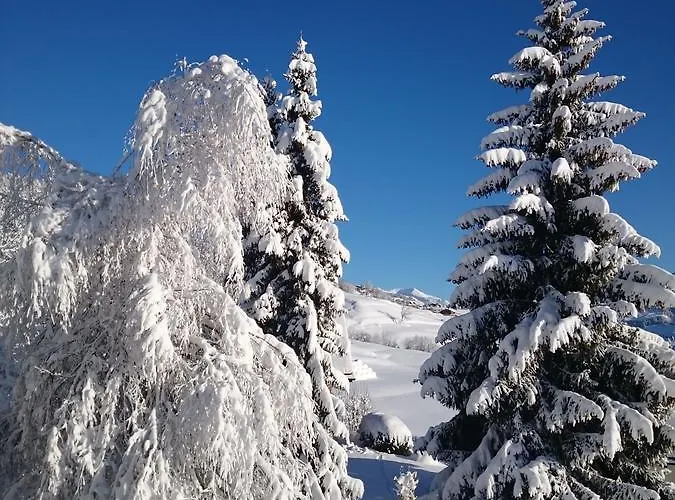 Gravas - Fuer Gaeste Mit Hund