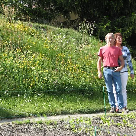 Gravas - Fuer Gaeste Mit Hund Vella